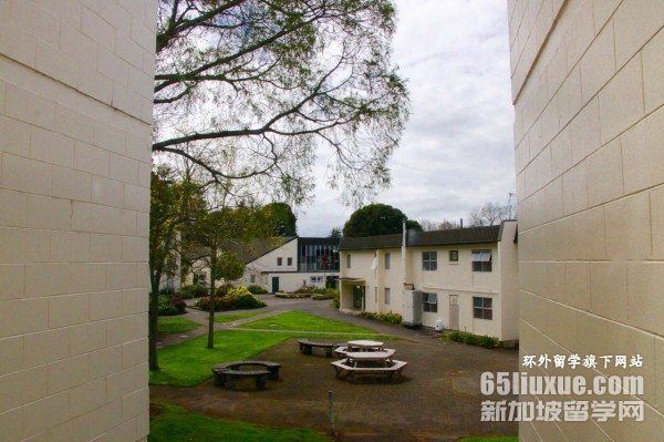 新西兰梅西大学2026世界排名