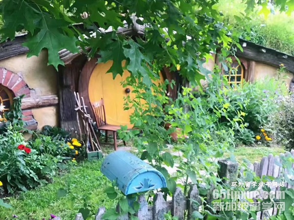 新西兰护理专业本科申请条件