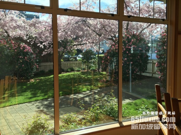 新西兰硕士留学要求