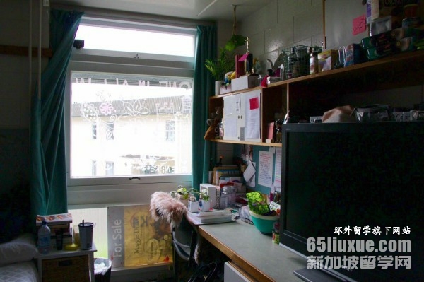 新西兰小学学制