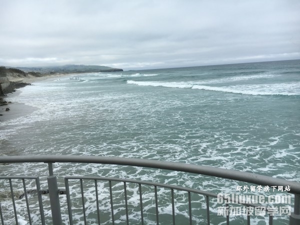 ����ȥ��������ѧ��ѧ��