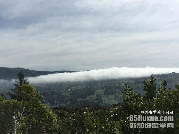 新西兰大学qs排名2026年