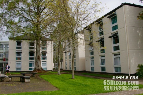 新西兰大学qs排名2026年