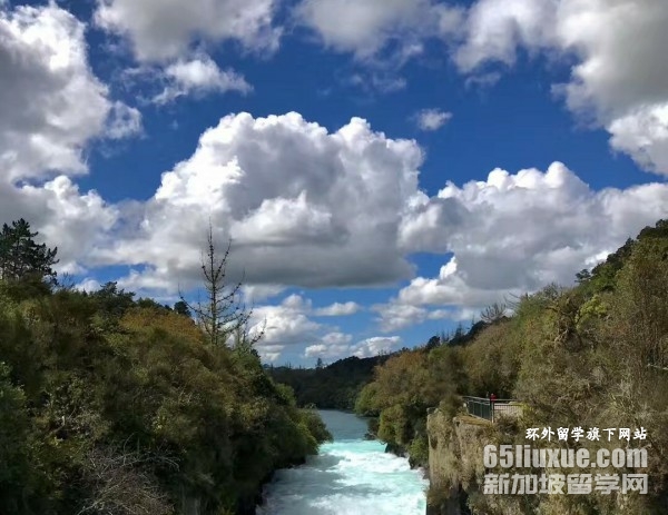 ����������רҵ��ѧ������