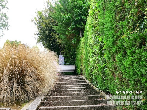 新西兰幼教专业留学的学校
