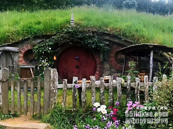 新西兰理工学院学费多少