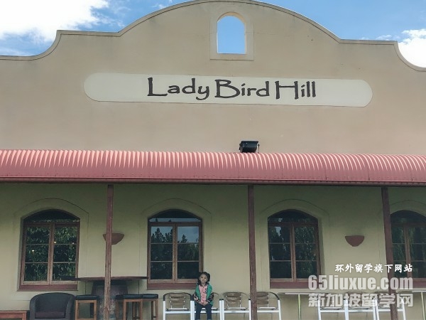 新西兰大学的费用是多少