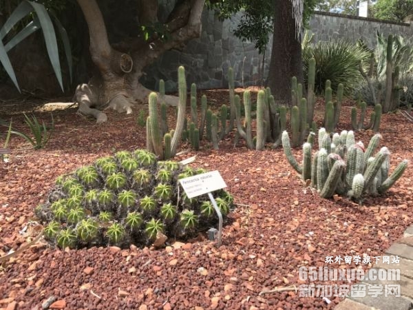 澳大利亚中学几年