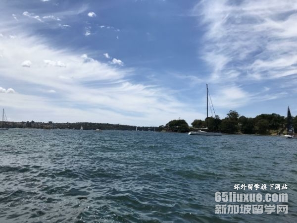 �Ĵ���������רҵ