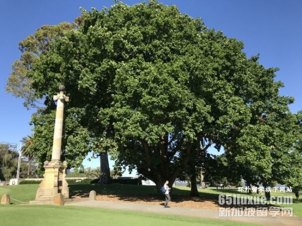 澳大利亚留学幼教专业