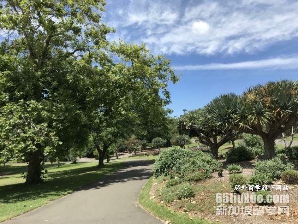 �Ĵ����ǵľ���˶ʿ