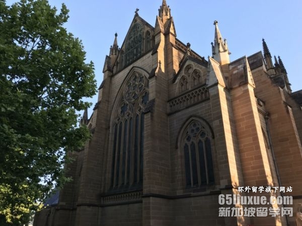 �Ĵ�������ѧ��ѧ����