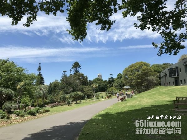 �Ĵ����Ǵ�ѧ����רҵ