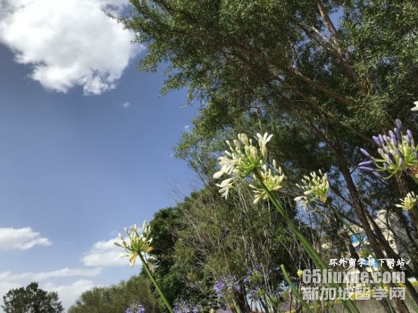 �Ĵ�������ѧ��˼Ҫ��