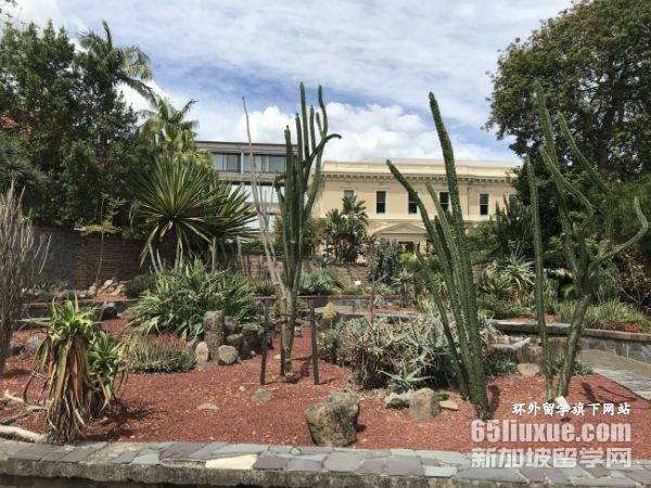 �Ĵ�������ѧ����ʿ