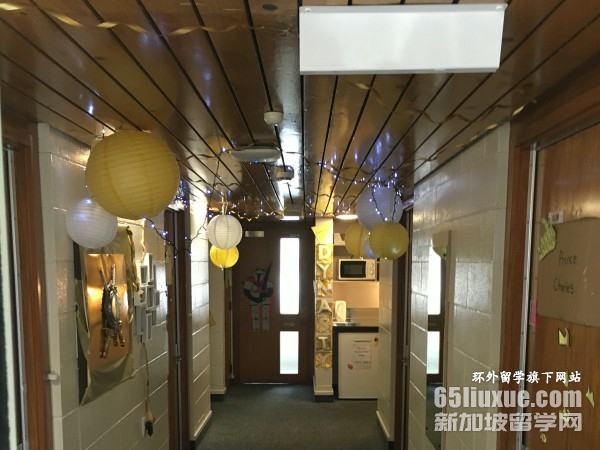 小学去新西兰留学