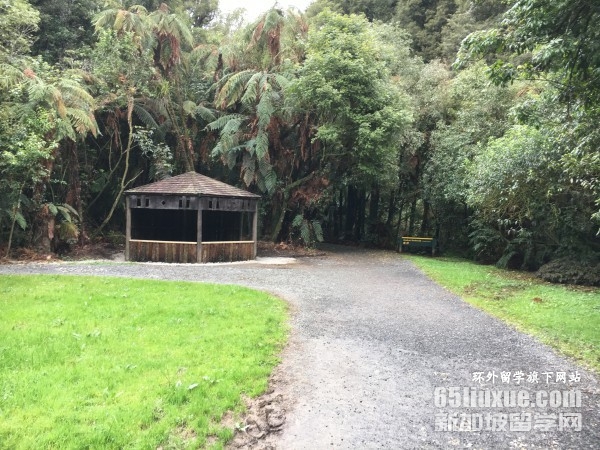 �����ά�����Ǵ�ѧ��ѧ��רҵ