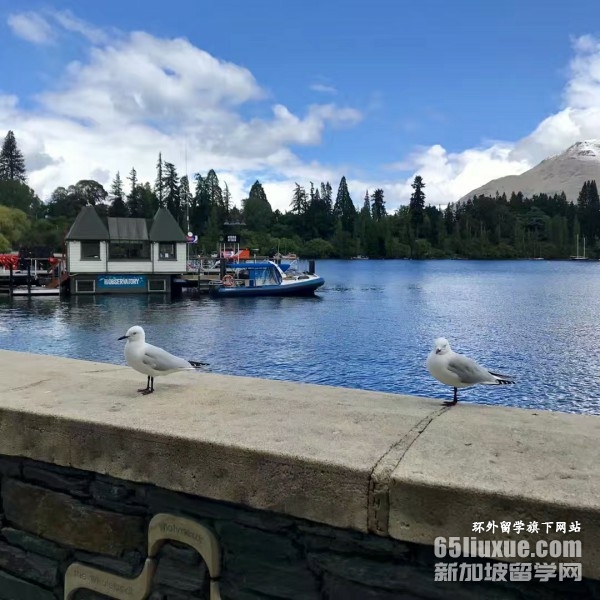 ����������רҵ˶ʿ��ѧ