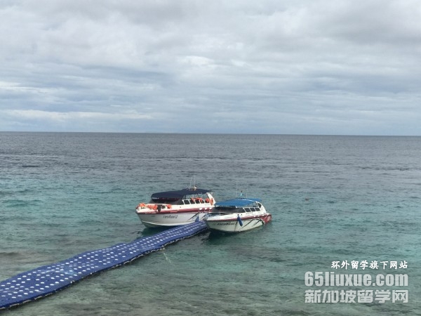 ���ʴ�ѧ��̩��������