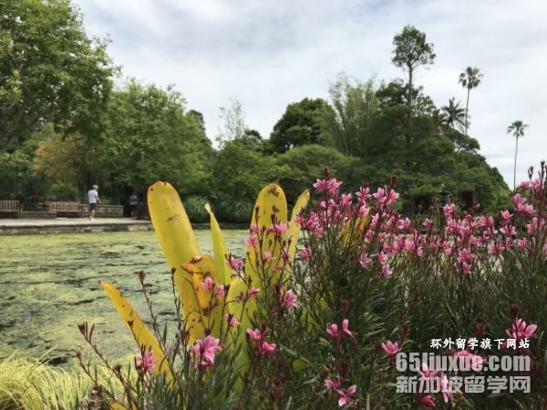 去澳大利亚读博士