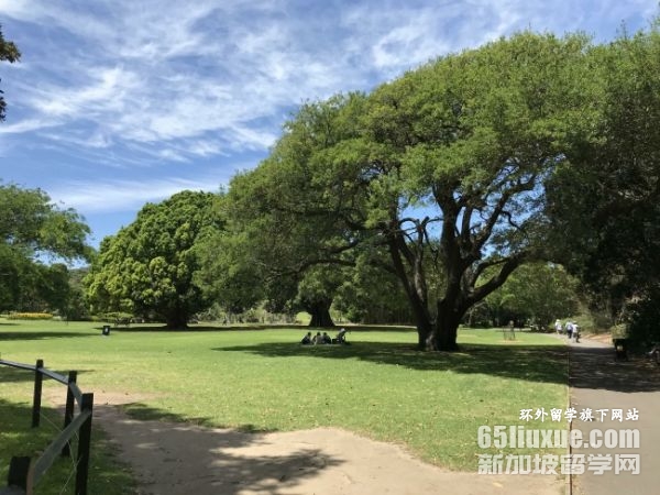 �Ĵ����Ǵ�ѧ�о�������