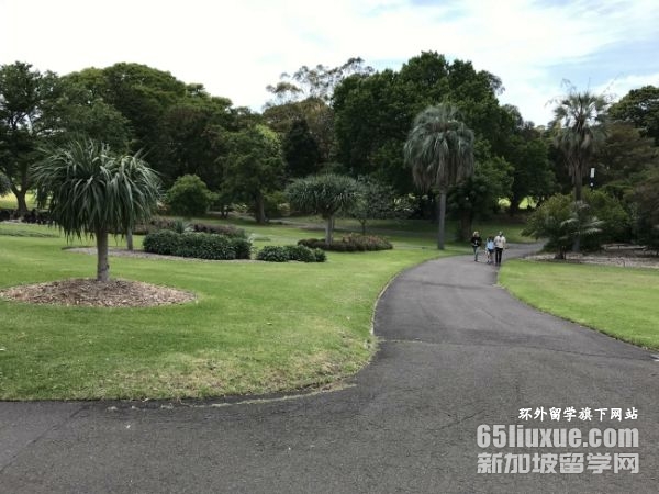 �Ĵ�����˶ʿ���רҵ