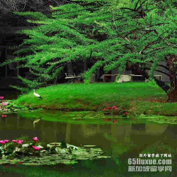 ̩���Ϸ���ѧ����