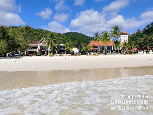 ����ȥ����������ѧ