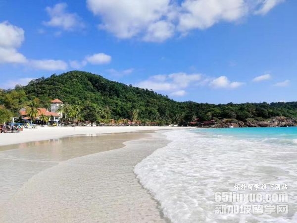 2026�������Ǵ�ѧ��������