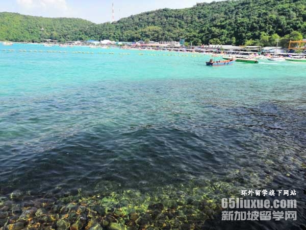 孔敬大学qs世界大学排名