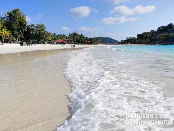 �������ǽ�����ʿ