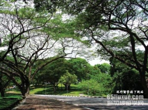 马来西亚理科大学医学院