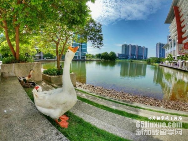 ��������̩����ѧһ����˶ʿ