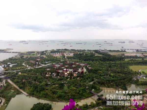 新加坡读大学的费用